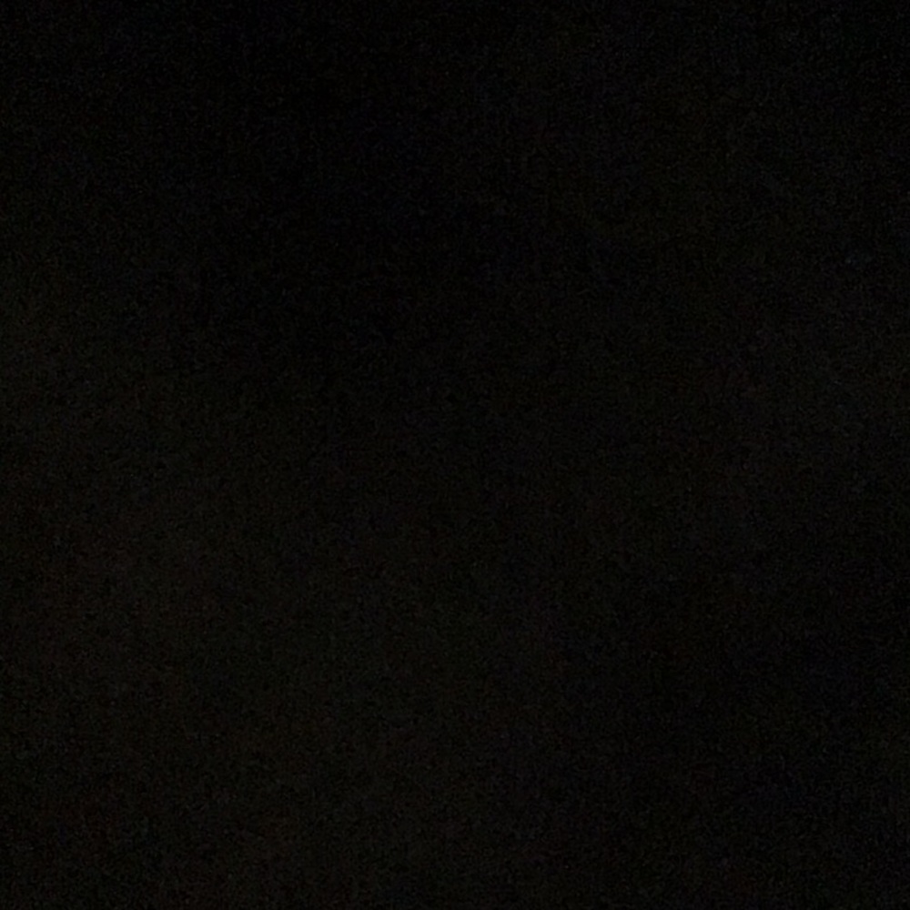 Meet your Posher, Ann